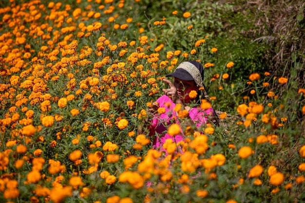 Une fille en chemise rose est entourée de fleurs orange.