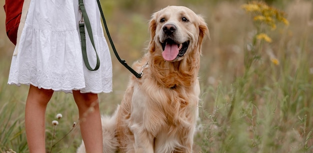 Fille avec chien golden retriever