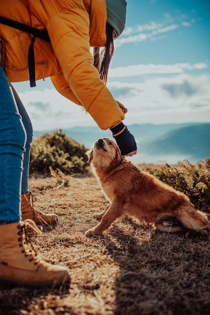 Fille avec un chien jouer dans les montagnes Ambiance d'automne Voyager avec un animal de compagnieFemme et son chien posant en plein air