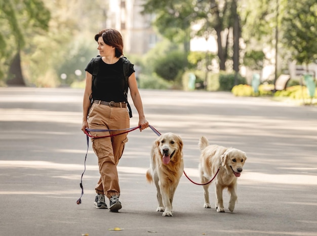 Fille avec des chiens golden retriever