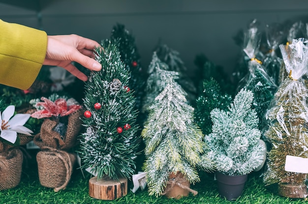 La fille choisit un arbre de Noël décoratif.