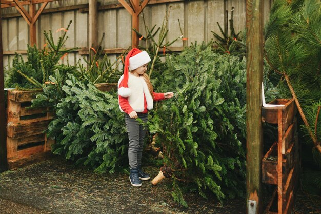 Une fille choisit un arbre de Noël à vendre dans un magasin