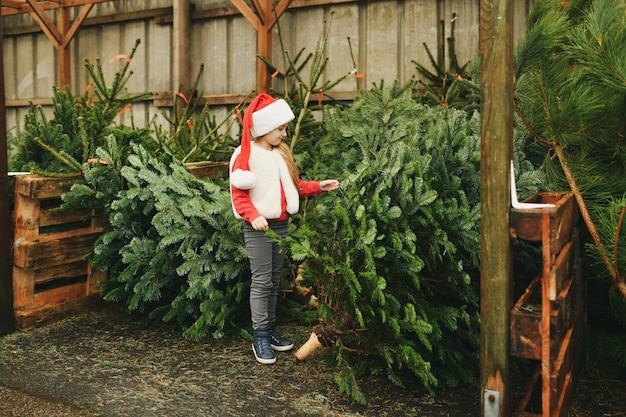 Une fille choisit un arbre de Noël à vendre dans un magasin