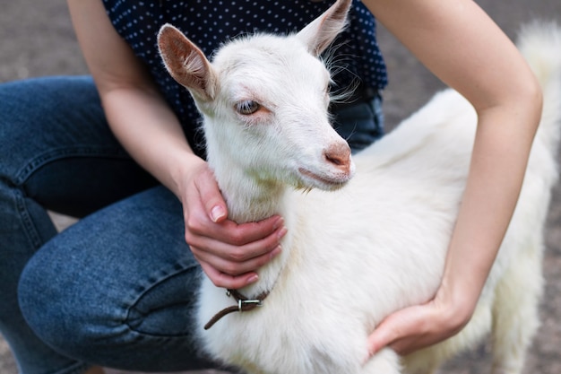 Fille colombe une petite chèvre blanche, une fille avec une chèvre