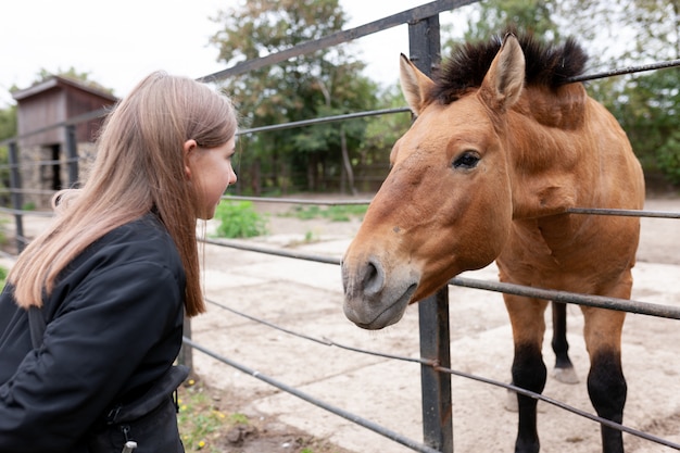 Fille en contact avec un cheval au zoo.