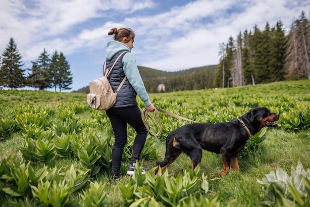 Une fille en costume se promène avec un chien de race Rottweiler le long d'un pré avec une végétation de montagne sur fond d'arbres