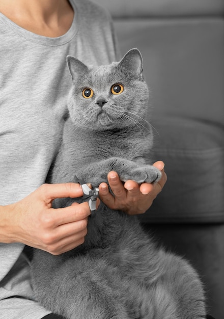 La fille coupe les griffes du chat à l'intérieur de la maison