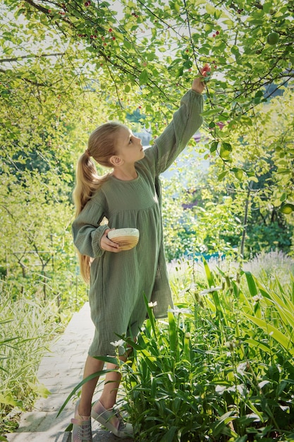 Fille cueillant des cerises