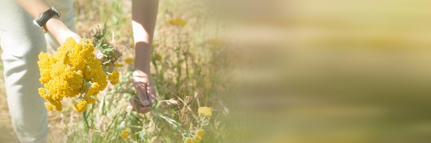 Fille cueillant des fleurs jaunes dans le champ