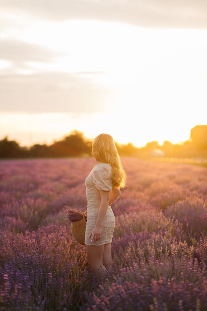 Fille dans un champ de lavande Femme dans un champ de fleurs de lavande au coucher du soleil dans une robe blanche France Provence