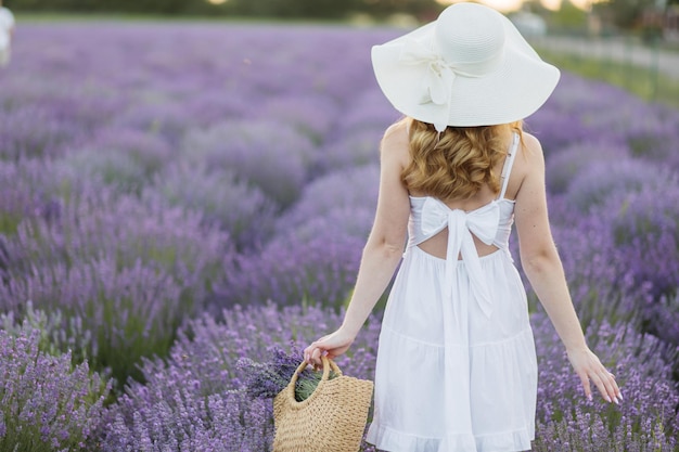 Fille dans un champ de lavande Femme dans un champ de fleurs de lavande au coucher du soleil dans une robe blanche France Provence