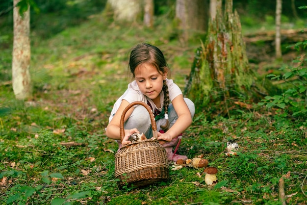 Une fille dans la forêt ramasse des cèpes et les met dans un panier