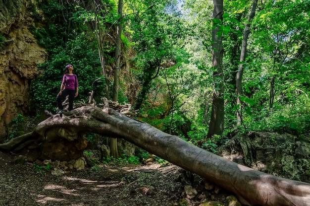 Fille dans la forêt