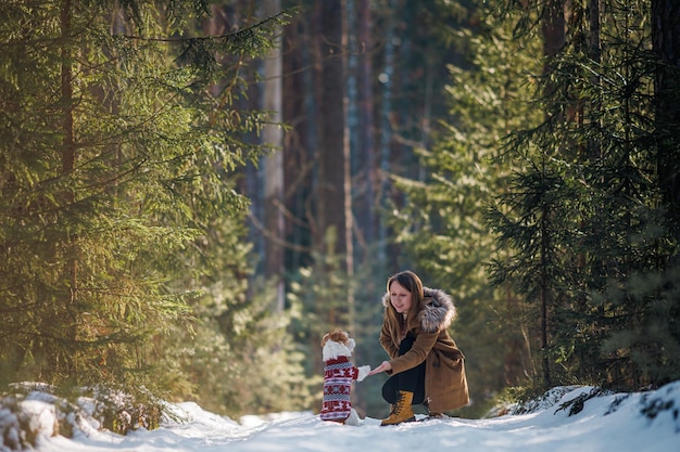 Une fille dans un manteau et un chien de race Jack Russell Terrier dans un pull tricoté du Nouvel An dans une forêt d'épinettes d'hiver sur le concept de Noël de neige