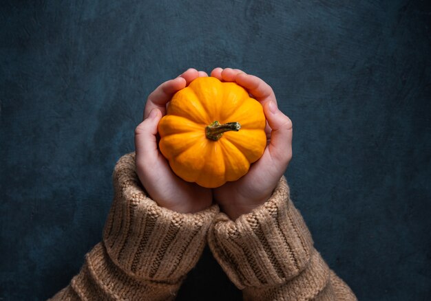 Une Fille Dans Un Pull Marron Tient Une Citrouille Orange Décorative Dans Sa Main Sur Fond Sombre. Vue De Dessus, Copiez L'espace Et Gros Plan