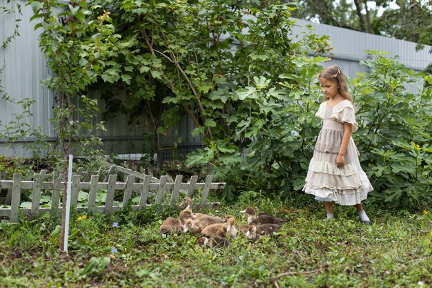 La fille dans une robe avec un tablier broute des canetons