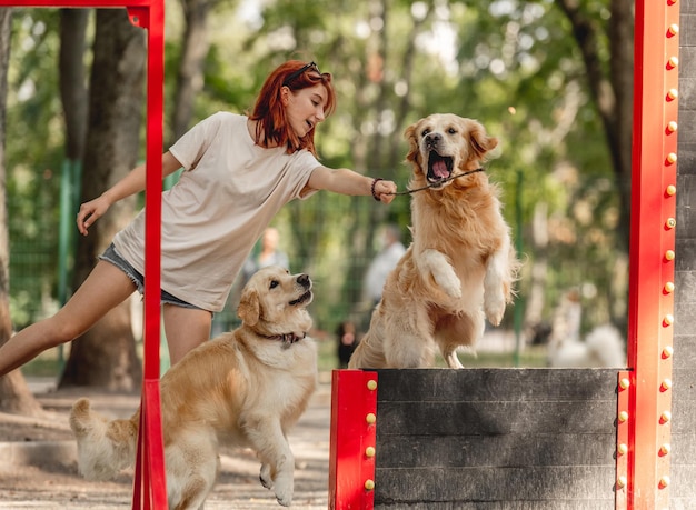 Fille avec deux chiens golden retriever jouant dans le parc Adolescente avec des animaux de race pure à l'extérieur