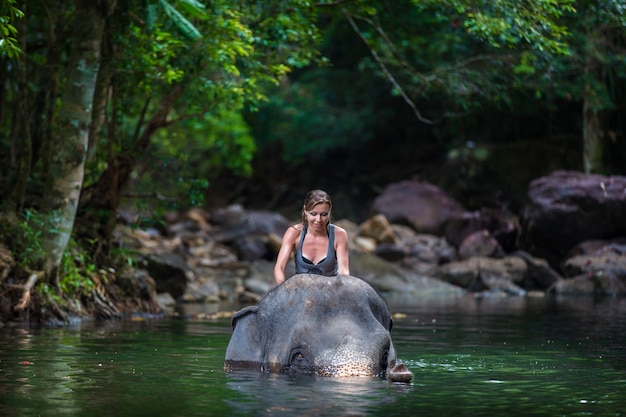 La fille avec l'éléphant dans l'eau