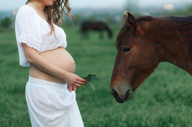 Une Fille Enceinte En Blanc Communique Avec Un Cheval Sur Un Pré Vert. Thérapie Et Relaxation Pour Les Femmes Enceintes.