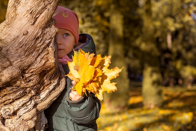 Fille enfant avec un bouquet de feuilles se cache derrière un arbre dans le parc.