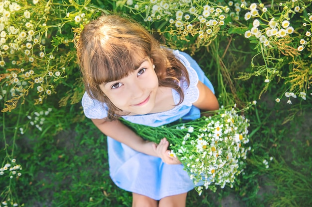 Fille enfant dans un champ de camomille