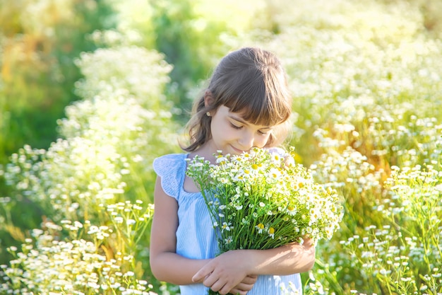 Fille enfant dans un champ de camomille