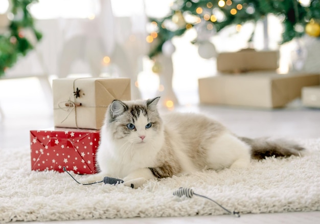 Fille d'enfant dans le temps de Noël