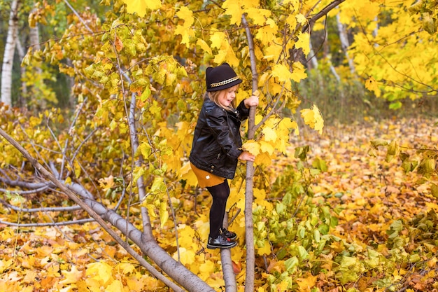 Fille enfant jouant à grimper sur un arbre en automne nature ensoleillée