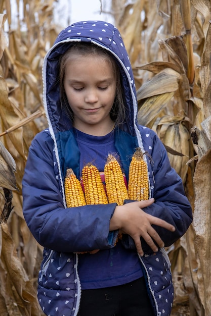 Fille avec des épis de maïs dans les mains arrière-plan flou