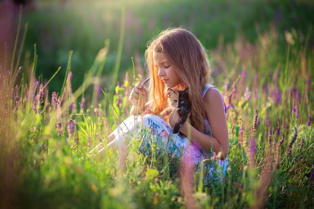 Une fille est assise dans un champ fleuri avec un beau chaton tricolore. Sauge en fleurs. Un chat avec une coloration inhabituelle pour un demi-museau