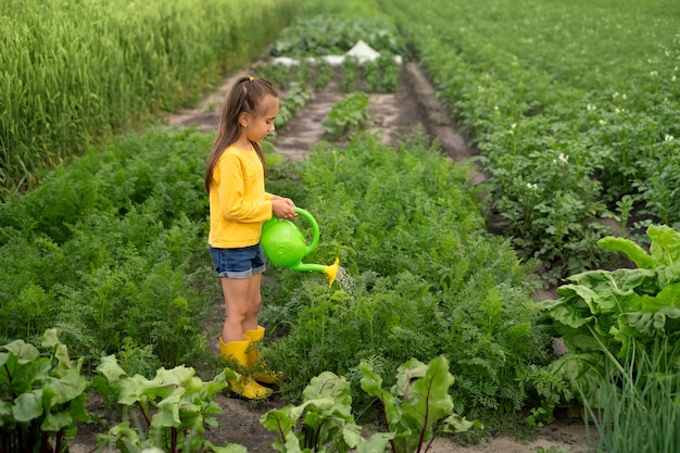 La fille est occupée à arroser le potager, où poussent des légumes et des légumes verts