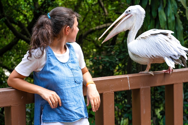 Une fille est photographiée à côté d'un pélican blanc dans un parc verdoyant. Observation des oiseaux