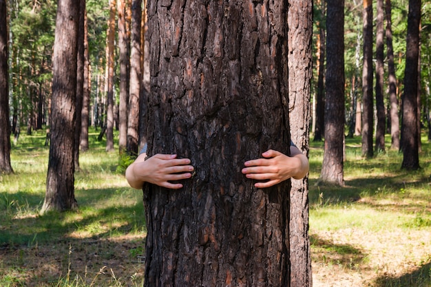 Fille étreignant un arbre dans la forêt