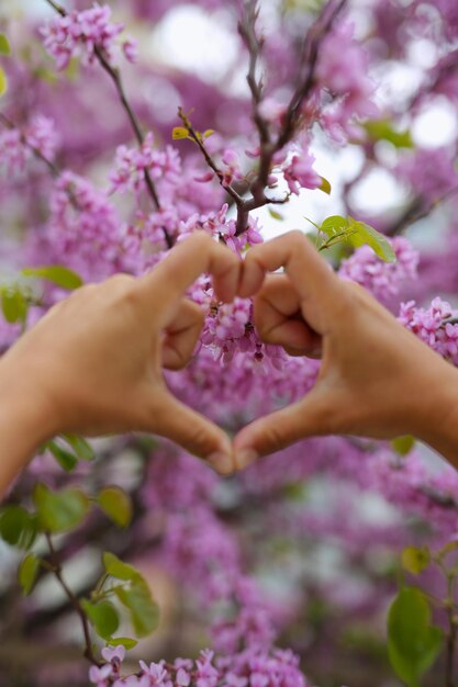 Photo la fille a fait un coeur avec ses mains sur un fond de palissandre au parc