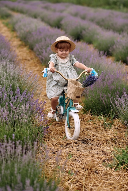 La fille fait du vélo et se promène sur un champ de lavande.