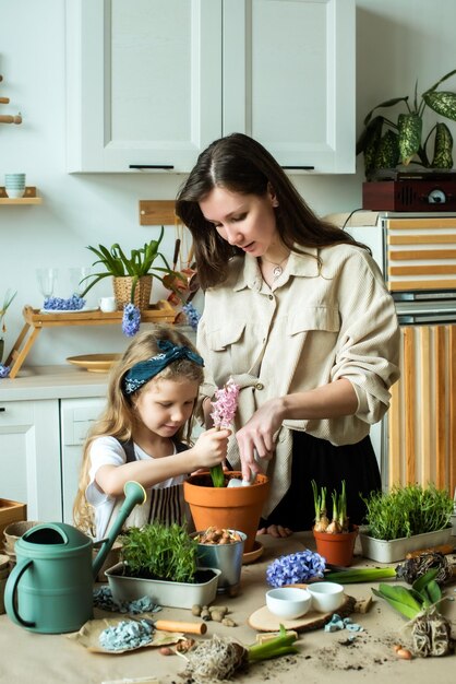 Fille et femme transplantent des fleurs et des plantes d'intérieur plantent des bulbes de jacinthes microgreens ensemble