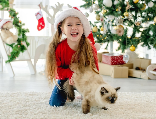 Fille heureuse d'enfant tenant le chat de ragdoll dans le temps de Noël et riant. Enfant assez souriant portant un bonnet de Noel avec un animal domestique à la maison au Nouvel An