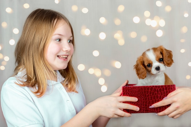 Photo fille heureuse a reçu un chiot mignon de race cavalier king charles spaniel dans une boîte cadeau