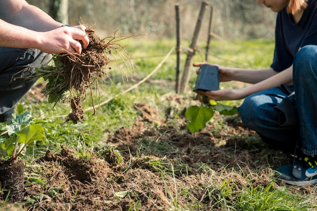 Fille jardinant des légumes dans le jardin en plein air au printemps