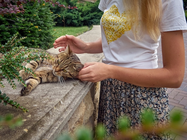 Fille jouant avec un chat