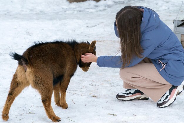 Fille jouant avec une chèvre miniature