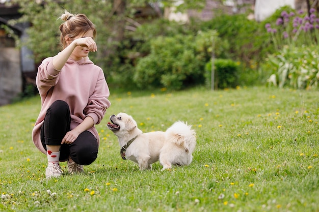 Fille joue avec un chien un épagneul tibétain sur une pelouse verte