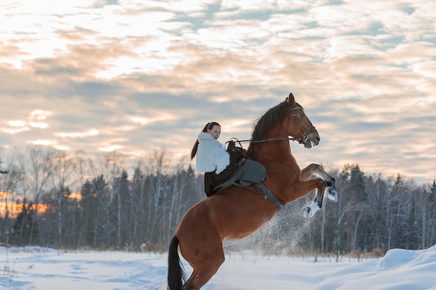 Une fille en manteau blanc chevauche un cheval brun en hiver