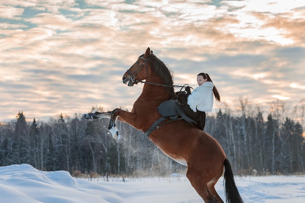 Une fille en manteau blanc chevauche un cheval brun en hiver