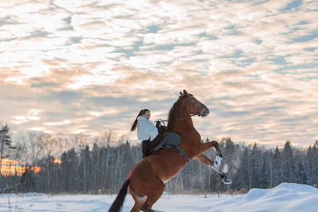 Une fille en manteau blanc chevauche un cheval brun en hiver