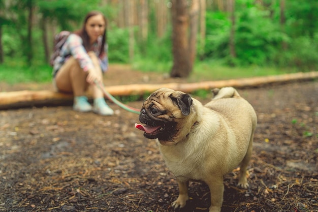 Fille marchant avec un carlin de race de chien dans le parc Carlin se reposant dans les bois