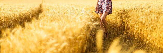 Fille marchant dans le champ d'or et touchant un blé avec sa main