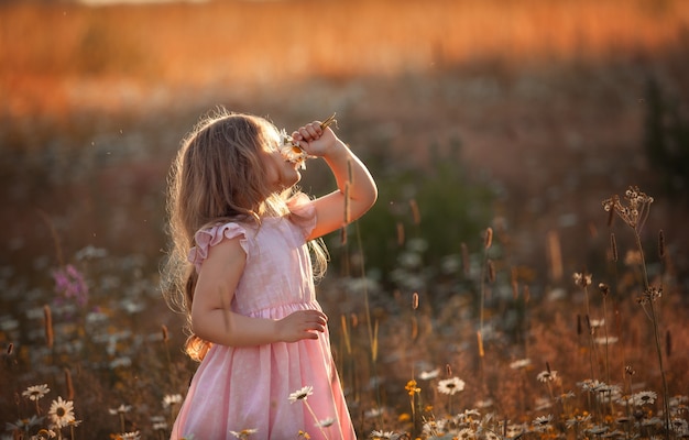 Une fille marche dans un champ avec des marguerites