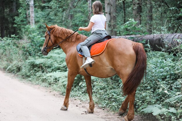 Une fille monte à cheval pendant l'été chaud dans la forêt