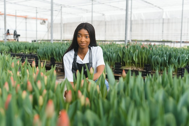 Fille, ouvrière avec des fleurs en serre